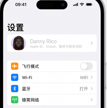 游仙appleID维修服务iPhone设置中Apple ID显示为灰色无法使用 