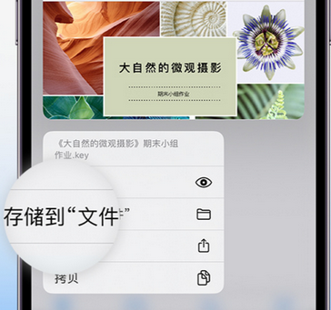 游仙apple维修中心分享iPhone文件应用中存储和找到下载文件