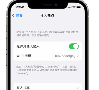 游仙apple服务站点分享iPhone上个人热点丢失了怎么办 