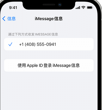 游仙apple维修iPhone上无法正常发送iMessage信息