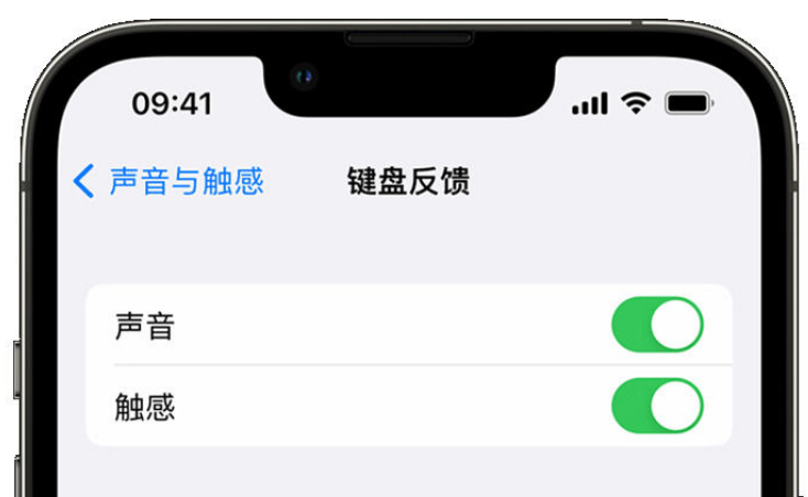 游仙苹果手机维修分享iPhone 14触感键盘使用方法 