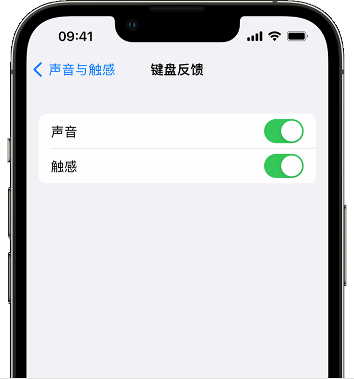 游仙苹果14维修店分享如何在 iPhone 14 机型中使用触感键盘 