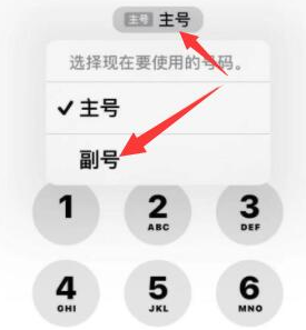 游仙苹果14维修店分享iPhone 14 Pro Max使用副卡打电话的方法 