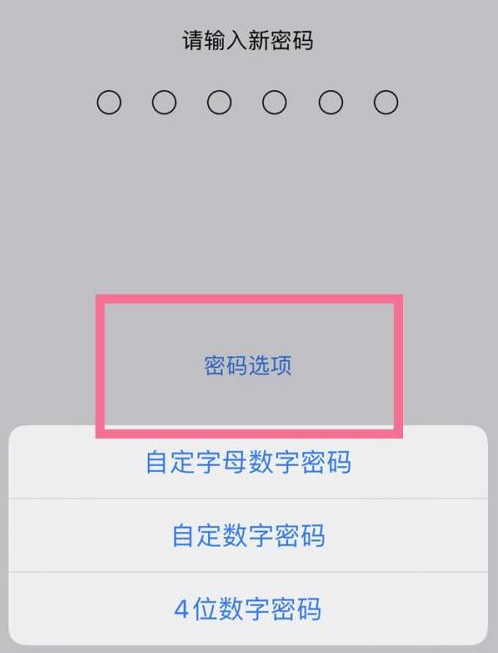 游仙苹果14维修分享iPhone 14plus设置密码的方法 