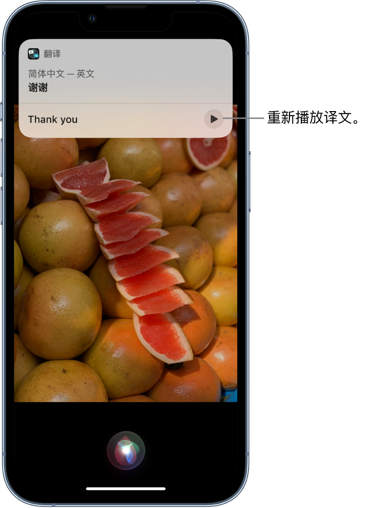 游仙苹果14维修分享 iPhone 14 机型中使用 Siri：了解 Siri 能帮你做什么 