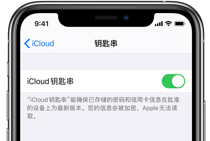 游仙苹果手机维修分享在 iPhone 上开启 iCloud 钥匙串之后会储存哪些信息 