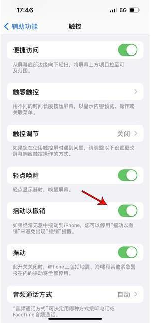 游仙苹果手机维修分享iPhone手机如何设置摇一摇删除文字 