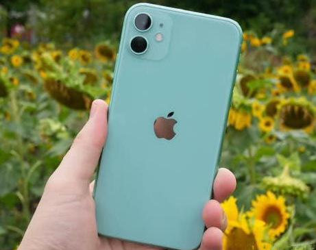 游仙苹果维修点分享iPhone 11锁屏密码认知与使用科普 