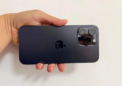 游仙苹果维修点分享iPhone 14 Pro Max黑屏少见故障盘点 